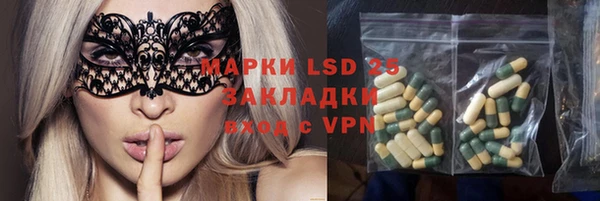индика Алексеевка