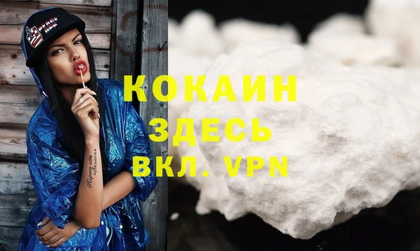 спиды Алзамай