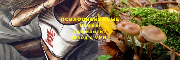 спиды Алзамай