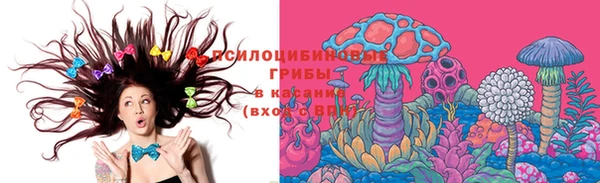 спиды Алзамай